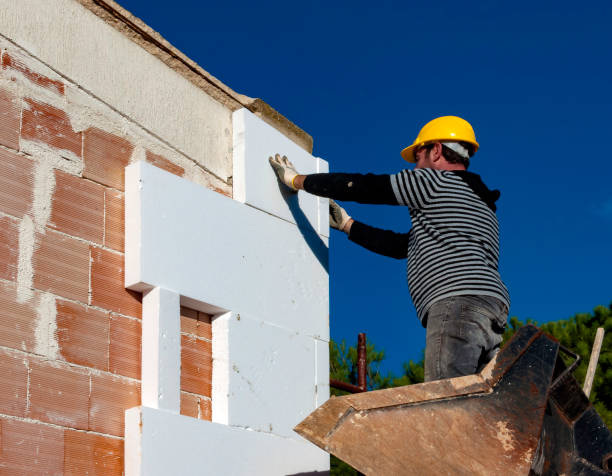 Best Geographic-Specific Insulation Services in Santa Teresa, NM