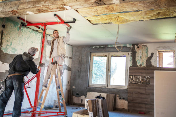 Best Eco-Friendly Insulation in Santa Teresa, NM