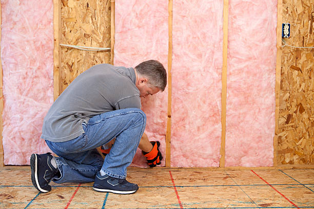 Best Cellulose Insulation in Santa Teresa, NM