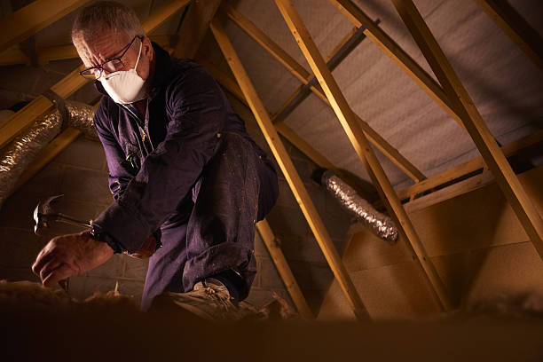 Best Commercial Insulation in Santa Teresa, NM
